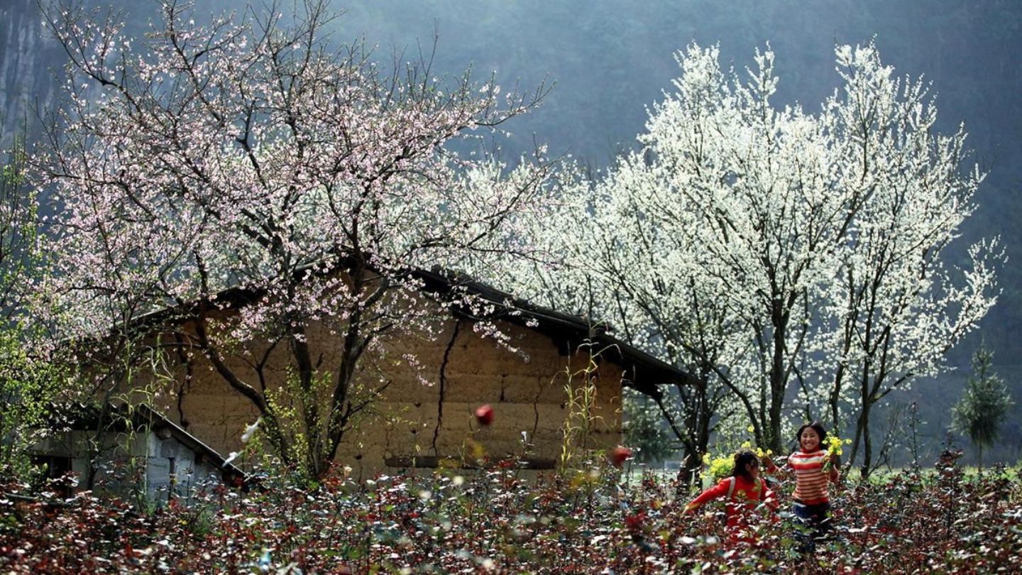 Spring (March to May): The weather is mild, and the fields are lush and green.