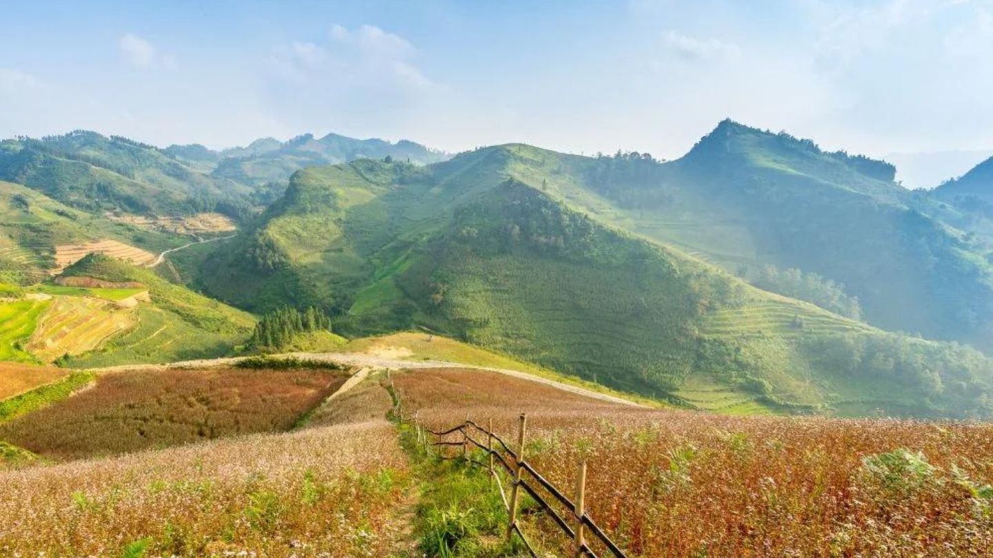 Autumn (September to November): The weather is cooler, and the rice fields turn golden, offering some of the most picturesque views.